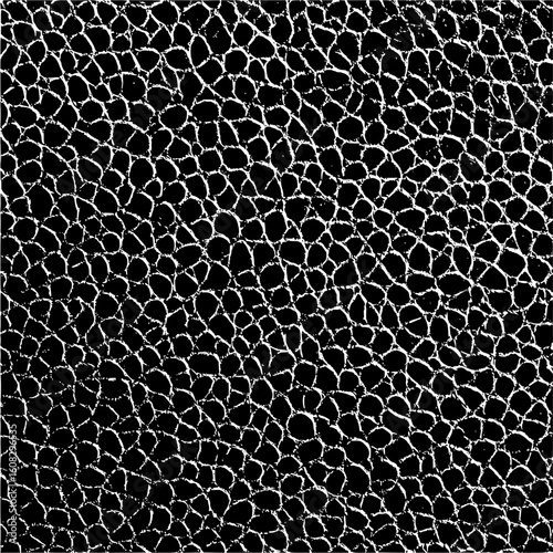 Close up of black and white reptile skin texture with irregular polygonal pattern forming the surface design