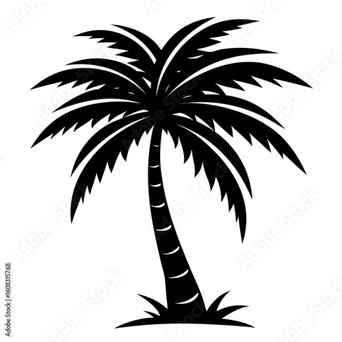 silhouette of palm tree