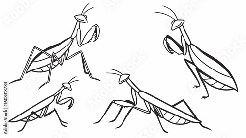 Stylized Praying Mantis Line Art Collection on White Background - Diverse Poses of Elegant Insects for Nature and Wildlife Designs