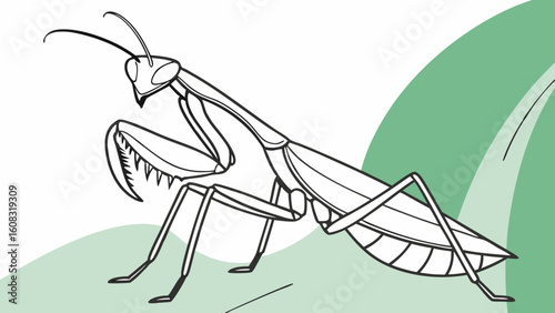 Praying Mantis Line Art Illustration on Leaf. Detailed Black and White Vector Drawing of an Insect, Perfect for Nature Education or Coloring Book D...
