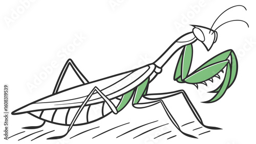 Simple Green Praying Mantis Illustration on White Background - Cartoon Insect Vector Art for Nature and Wildlife Concepts