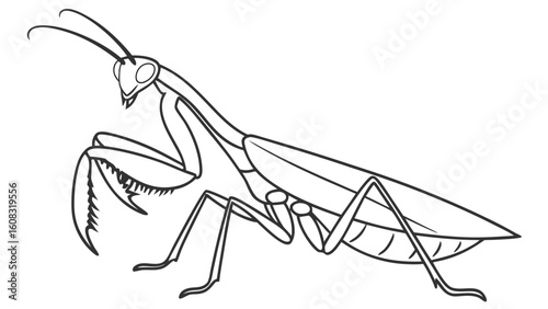 Praying Mantis Line Art Illustration: Detailed Insect Drawing for Coloring Books and Educational Resources, Black and White Outline on White Backgr...