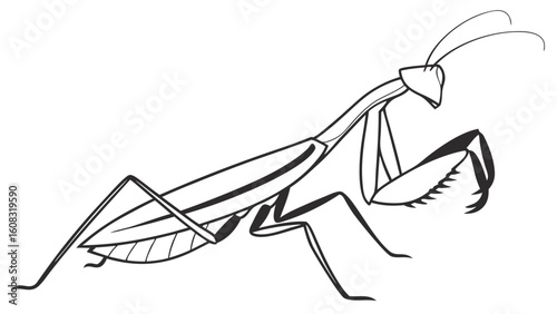Praying Mantis Line Art Illustration. Detailed Black and White Outline Drawing of a Predatory Insect in Side View, Ideal for Educational Content or...