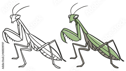 Praying Mantis Cartoon Illustration with Outline and Colored Versions for Educational Design