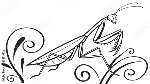 Elegant Praying Mantis Line Art Illustration with Decorative Swirls - Black and White Stylized Insect Graphic Design Element