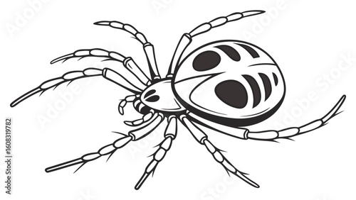 Detailed Black and White Spider Line Art Illustration Isolated on White, Spooky Arachnid Drawing for Halloween, Nature, or Insect Themes