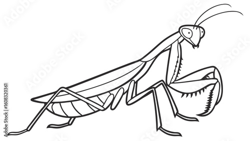Simple Praying Mantis Line Art Illustration for Coloring Books or Educational Design