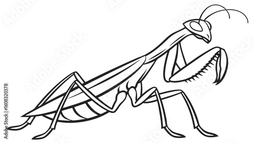 Praying Mantis Line Art Illustration in Simple Black and White Style, Ideal for Coloring Books or Educational Graphics