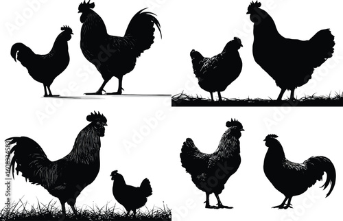 Rooster and hen silhouettes in a graphic pattern eps
