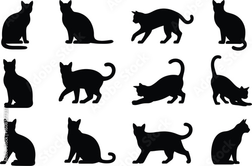 Twelve Feline Silhouettes In Various Poses black white