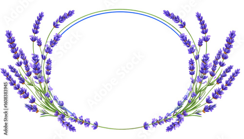 Lavender sprigs frame an oval space, creating a decorative border with purple flowers and green stems isolated on transparent background.