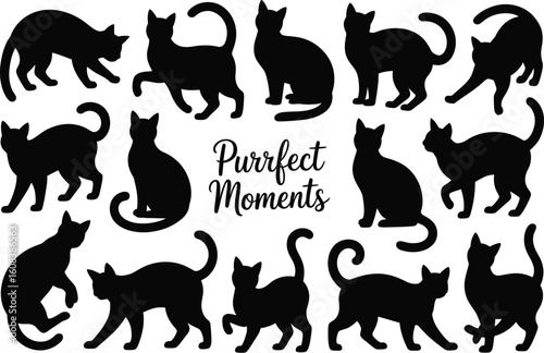 Black cat silhouettes various poses cats feline
