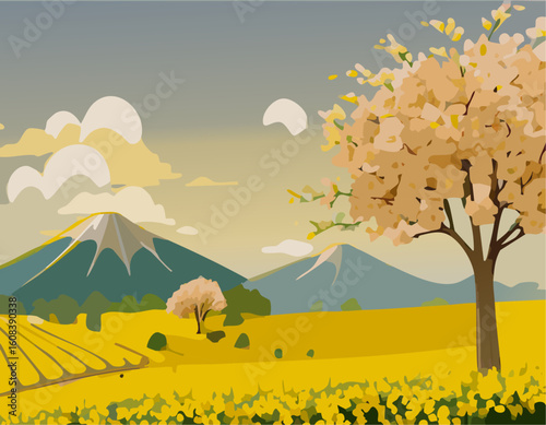 菜の花の咲く風景