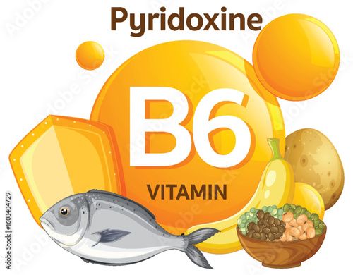 Vitamin B6 Pyridoxine Sources and Nutritional Illustration