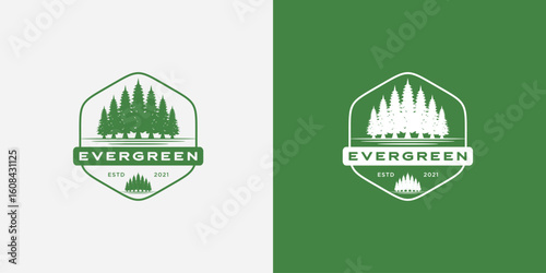 Rustic vintage evergreen, pines, spruce, cedar trees logo emblem