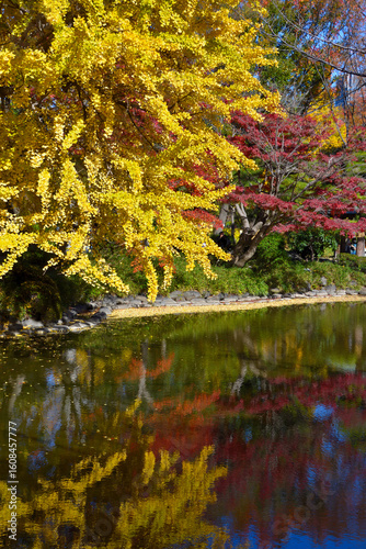 日比谷公園の雲形池の紅葉