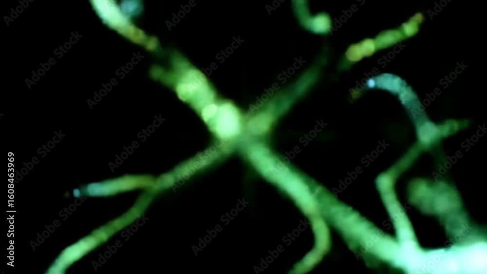 Timelapse of quantum biology in action: protein folding, photon entanglement, and bioluminescent data pulses in CRISPR-engineered algae biocomputers.