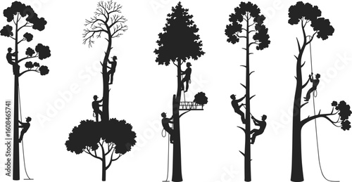 Tree climbing vector, arborist silhouette illustration, climbing gear design, pruning action pose, tree care techniques, safety harness, forest maintenance art