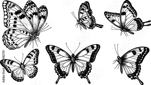 Black and white butterfly illustrations, detailed insect drawings, flying butterflies, hand drawn art, vintage sketch style, isolated on white background