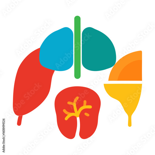 Female reproductive system anatomy vector icon on white background.