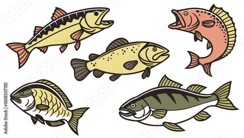 Collection of various freshwater fish illustrations. Set of different types of game fish for fishing, seafood, and aquatic themes design.