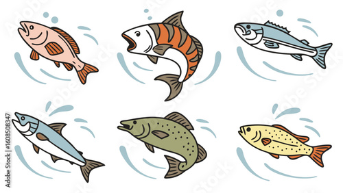 Different types of fish illustration. Set of various marine and freshwater fish swimming in water. Aquatic vector art.