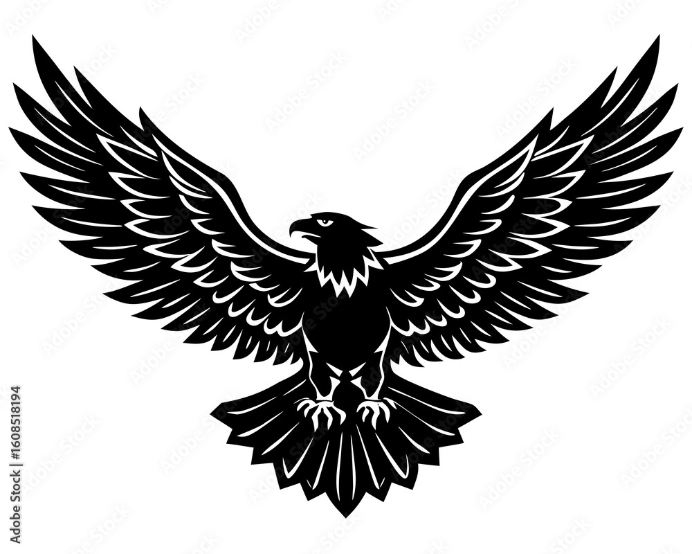 Fototapeta premium Majestic eagle with wings spread wide in flight silhouette