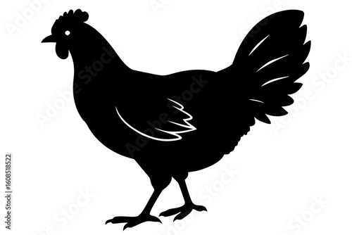 Black silhouette of a hen standing on a white background