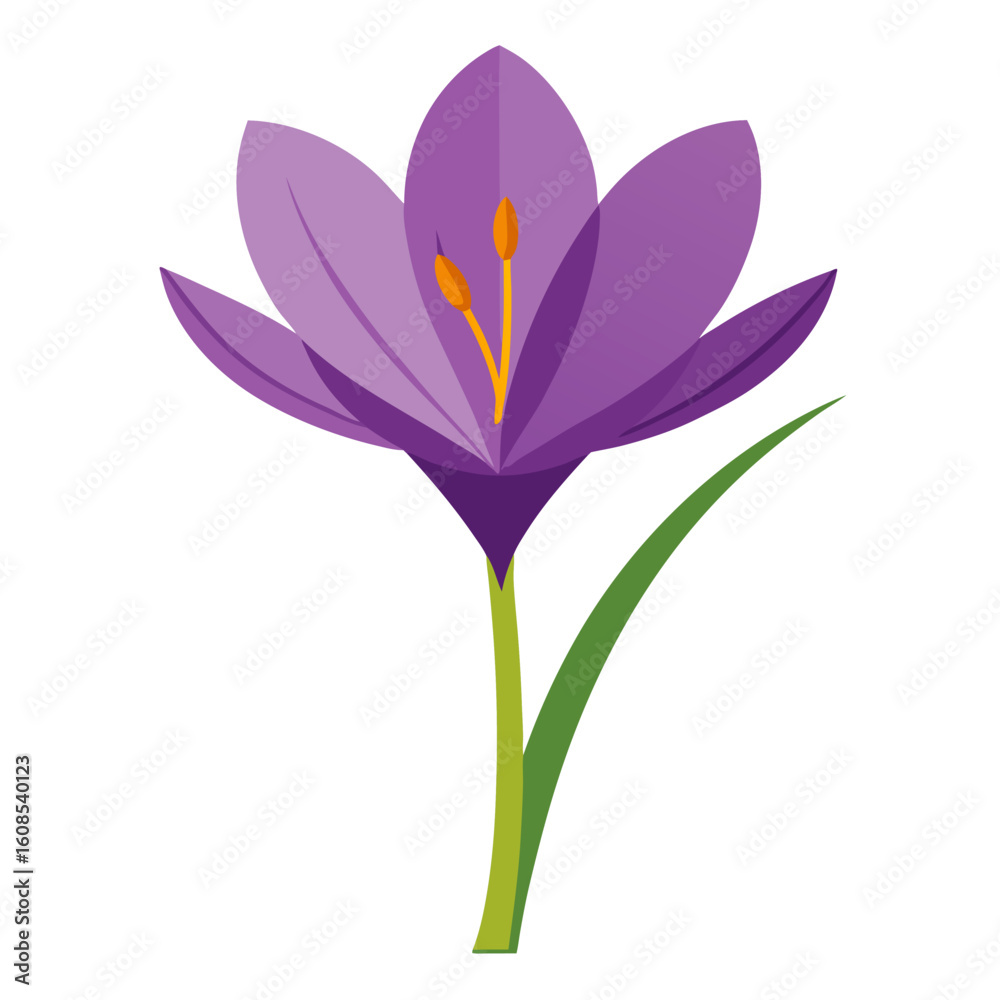 Fototapeta premium vector illustration of a flower