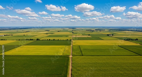 Scenic aerial view of vast agricultural farmland with a patchwork of green and yellow crop fields under a beautiful blue sky