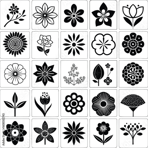 A set of black and white floral vector design elements