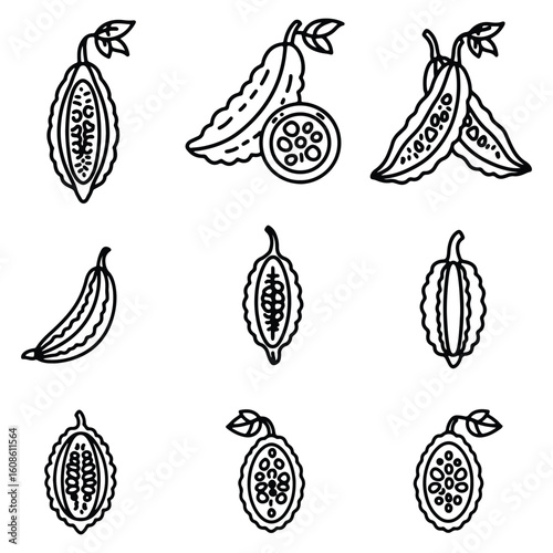 Illustrated collection of bitter melon in various styles featuring cut and whole fruit designs
