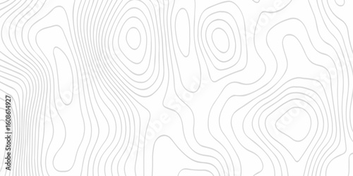 White wave paper curved reliefs abstract background. Background of the topography map. Abstract pattern with lines. Minimal grid Contour abstract map relief land outline. Topographic map patterns. 