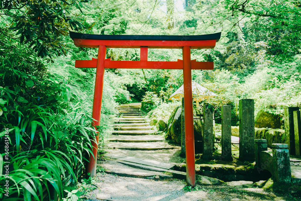 Naklejka premium 奈良の美しい岡寺の庭園