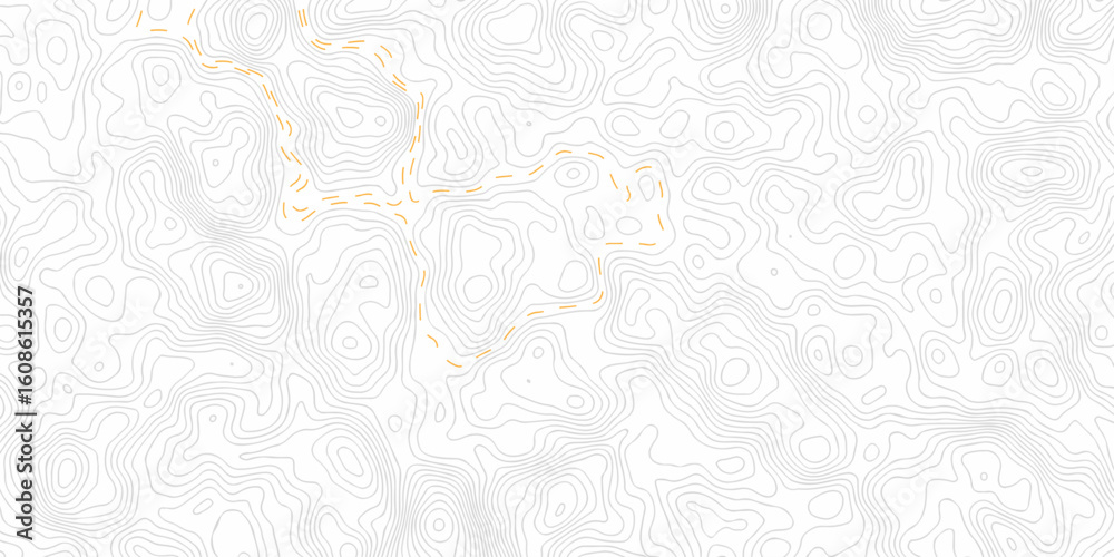 Obraz premium White wave paper curved reliefs abstract background. Background of the topography map. Abstract pattern with lines. Minimal grid Contour abstract map relief land outline. Topographic map patterns. 