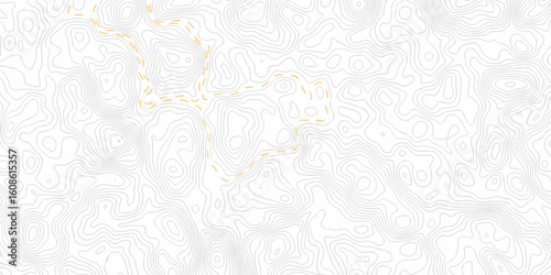 White wave paper curved reliefs abstract background. Background of the topography map. Abstract pattern with lines. Minimal grid Contour abstract map relief land outline. Topographic map patterns. 