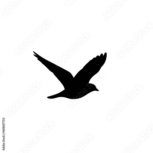 Abstract black bird silhouette in graceful flight, representing freedom, migration, and natural cycles for autumnal equinox designs.