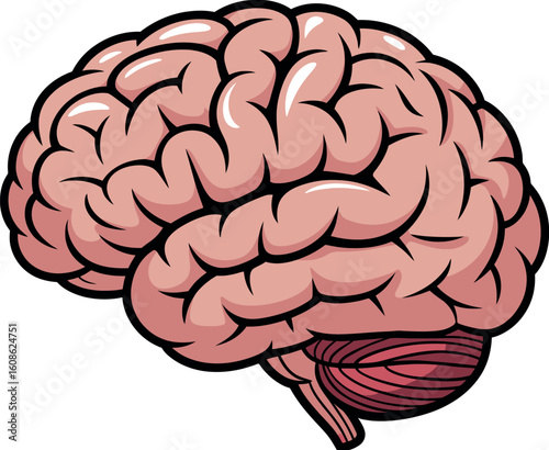 A cartoon illustration of a human brain with visible lobes and cerebellum on a plain white background