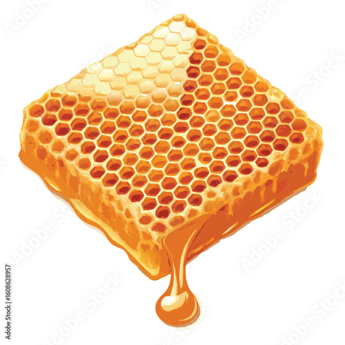 realistic honey comb slice vector on liquid honey 