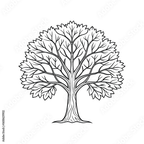 Sycamore Tree Outline Vector – Minimal Line Art of a Sycamore Tree Isolated on White Background