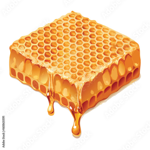 realistic honey comb slice vector with liquid honey 