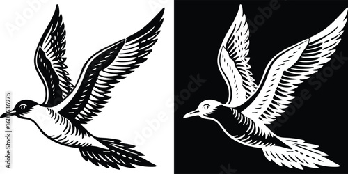 A detailed line art of a bird flying above the clouds, capturing the majestic movement and graceful aerial flight