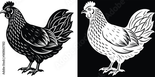 A detailed black and white depiction of two chickens, capturing their natural movement and the rhythm of farm life