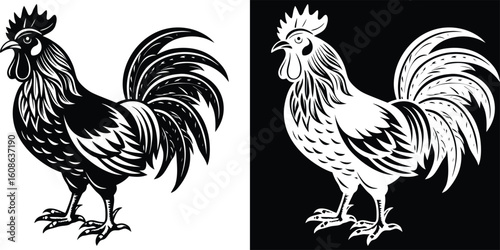 A vibrant black and white sketch of two roosters, capturing their proud stance and feather textures