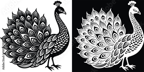 A stunning black and white illustration of two peacocks in a regal pose, highlighting their feathers and graceful presence, ideal for bird and nature art collectors.