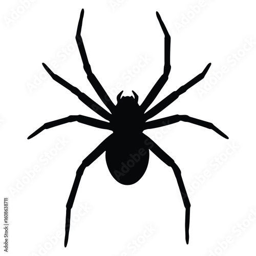 Black spider silhouette isolated on white background perfect for halloween themed designs