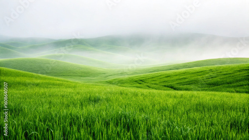 Rolling green hills with a misty atmosphere creating a peaceful and serene landscape
