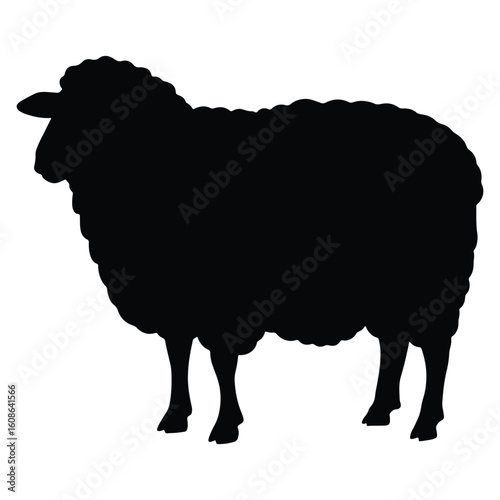Silhouette of a black sheep standing sideways against a pure white background illustration