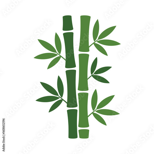 Simple green bamboo stalks with leaves on a white background symbolizing nature and growth