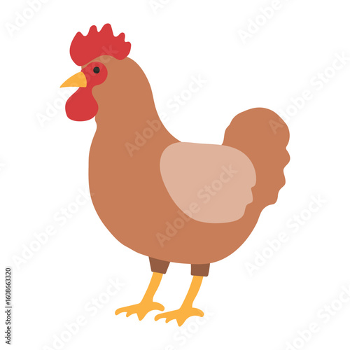 Farm Chicken Illustration Flat Design